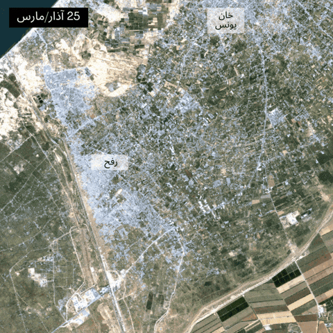 lkiennemann giphyupload GIF