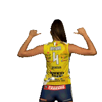 Pantere Imoco Sticker by ImocoVolley