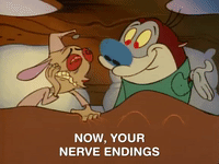 ren and stimpy nicksplat GIF