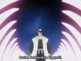 Bleach Kuchiki Byakuya GIF