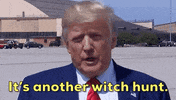 Donald Trump Whistleblower GIF by GIPHY News