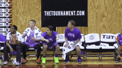 big cat el pres GIF by Barstool Sports