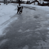 what is this ground???? GIF by Digg