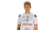 Ver Its Time Sticker by Verona Volley