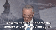 Chuck Schumer January 6Th GIF by GIPHY News