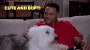 anthony anderson GIF by ABC Network
