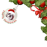 Little Rascals Lhasa Sticker by Pimp Yo Pets