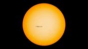 space sun GIF by NASA