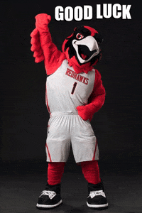 Southeast Missouri State University GIF by SEMissouriState