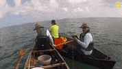Nat Geo Omg GIF by National Geographic Channel