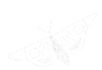 DariLuna white eye butterfly frame Sticker