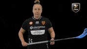 Floorball Salibandy GIF by F-liiga