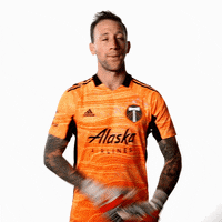 Portland Timbers Sport GIF by Timbers
