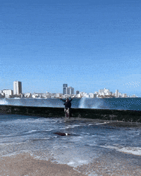 Happy Wave GIF