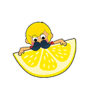 Fruit Lemon Sticker by wister