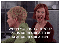 Sex And The City Coach GIF by Real Authentication