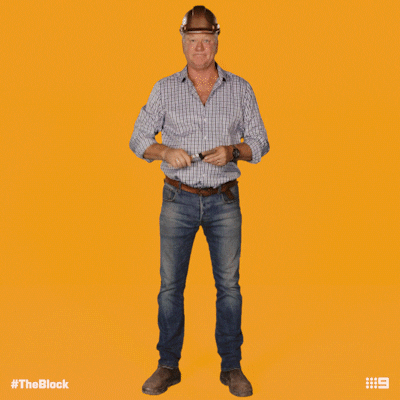 Channel 9 Scotty GIF by The Block