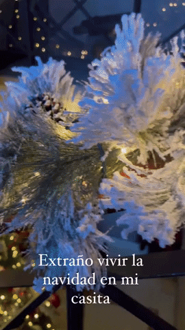 paulinafloresf288 giphygifmaker GIF