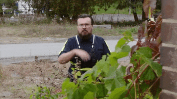 StittsvilleOnPatrol secret quiet shh shhh GIF