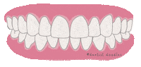 Orthodontics Retainer Sticker