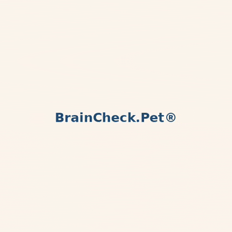 Brain Blitz GIF by BrainCheck.Pet