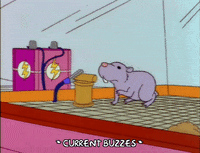 scared season 4 GIF