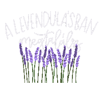 TihanyHivatalosOldala balaton balcsi tihany levendula Sticker