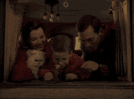 they just dont make em like this anymore stuart little GIF