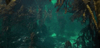 HezzaFezza my octopus friend 3 GIF