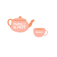 hydralyte winter tea warm cosy Sticker