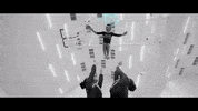 Sport Gymnastics GIF by Stad Genk