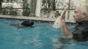 Dogwhisperer GIF by National Geographic Channel