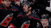 Stanley Cup Playoffs No GIF by NHL