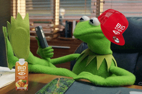 Kermit No GIF by BioSteel Sports