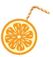 orange vitalvita12 Sticker by tonymoly