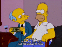 homer simpson episode 20 GIF
