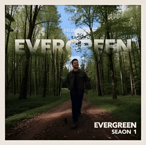 Hunter Hayes New Song GIF