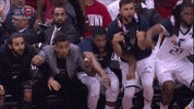 Nba Playoffs Basketball GIF by NBA