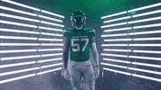 Bless Up Thank God GIF by New York Jets