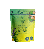 Horse Superfood Sticker by TwentyfourC