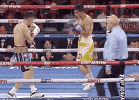 toprank fight fighting espn fighters GIF