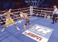 toprank fight fighting espn fighters GIF