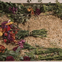 Death Taboo GIF by PBS Digital Studios