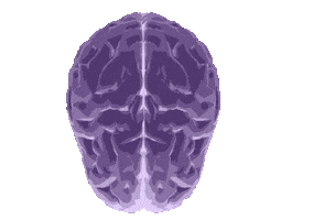 Halloween Brain Sticker by PurpleBrain