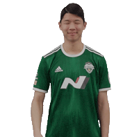 jeonbuk1994 전북현대 jeonbuk 전북 jeonbukhyundai Sticker