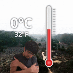 0 °C