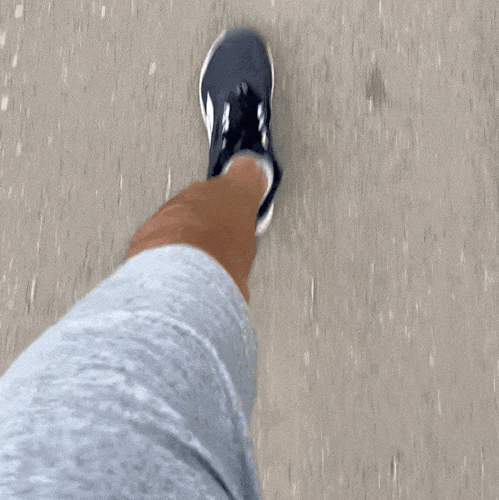 Idan_K giphyupload GIF