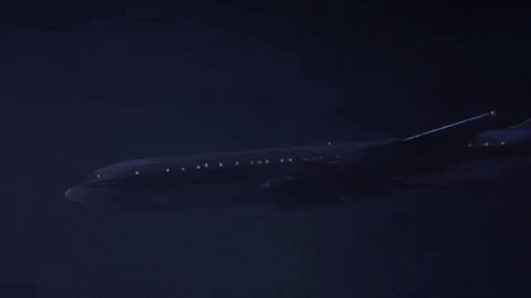 airplane movie GIF