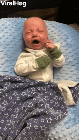 Twin Brother Is Fed Up With The Whining GIF by ViralHog