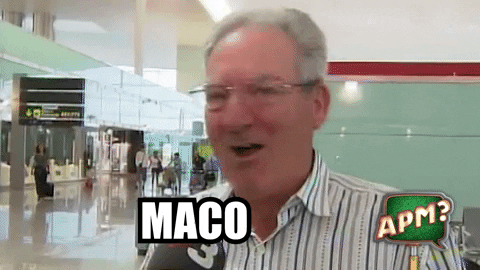 Maco GIF by Alguna Pregunta Més?